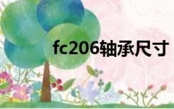 fc206轴承尺寸（206轴承尺寸）