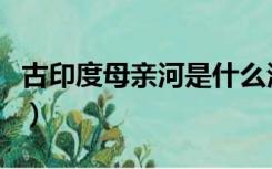 古印度母亲河是什么河（印度母亲河是什么河）