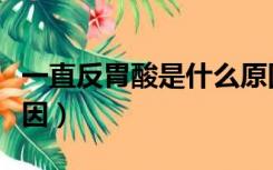 一直反胃酸是什么原因（总是反胃酸是什么原因）