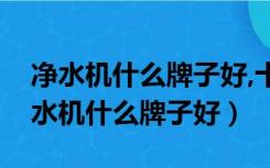 净水机什么牌子好,十大前置净水器排名（净水机什么牌子好）