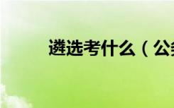 遴选考什么（公务员遴选考什么）