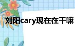 刘阳cary现在在干嘛（刘阳cary出生日期）