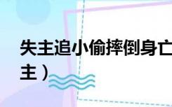 失主追小偷摔倒身亡,小偷要负法律责任（失主）