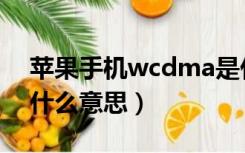 苹果手机wcdma是什么意思（wcdma版是什么意思）