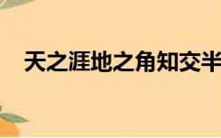 天之涯地之角知交半零落想表达什么思想