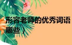 形容老师的优秀词语（形容老师优秀的成语有哪些）