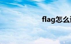 flag怎么读（flag）