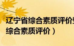 辽宁省综合素质评价登录入口手机版（辽宁省综合素质评价）