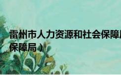 雷州市人力资源和社会保障局任命（雷州市人力资源和社会保障局）