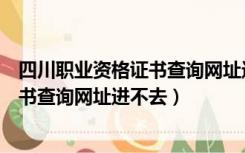 四川职业资格证书查询网址进不去怎么办（四川职业资格证书查询网址进不去）