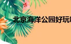 北京海洋公园好玩吗（北京海洋公园）