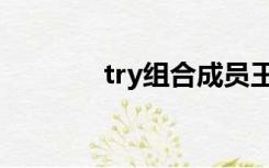 try组合成员王蕊（try组合）