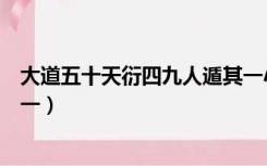 大道五十天衍四九人遁其一小说（大道五十天衍四九人遁其一）