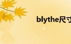 blythe尺寸（blythe）