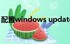 配置windows update失败还原更改（配置）