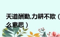 天道酬勤,力耕不欺（岁月不居 天道酬勤是什么意思）