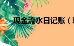 现金流水日记账（现金流水账怎么记）