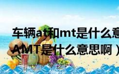 车辆at和mt是什么意思（汽车中的AT MT和AMT是什么意思啊）