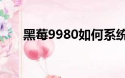 黑莓9980如何系统升级（黑莓9980）