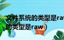 文件系统的类型是raw无法格式化（文件系统的类型是raw）