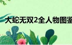 大蛇无双2全人物图鉴（大蛇无双2全人物）