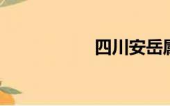 四川安岳属于哪个市