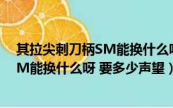 其拉尖刺刀柄SM能换什么呀 要多少声望（其拉尖刺刀柄SM能换什么呀 要多少声望）