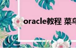 oracle教程 菜鸟（oracle教程）