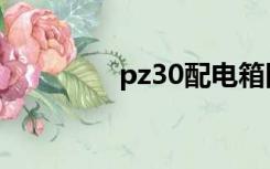 pz30配电箱图片（pz30）