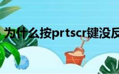 为什么按prtscr键没反应（prtscr键没反应）