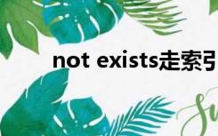 not exists走索引吗（not exists）