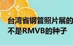 台湾省钢管照片展的彩色DVD版有大约20个不是RMVB的种子