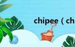 chipee（chipeasy官网）