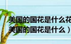 美国的国花是什么花?A.牡丹B.玫瑰C.兰花（美国的国花是什么）