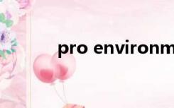 pro environmental（pro e）