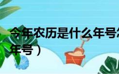 今年农历是什么年号怎么读（今年农历是什么年号）