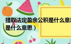 提取法定盈余公积是什么意思通俗解释（提取法定盈余公积是什么意思）