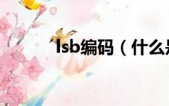 lsb编码（什么是MSB LSB码）