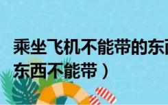 乘坐飞机不能带的东西有哪些（乘飞机有什么东西不能带）