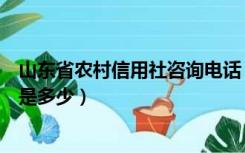 山东省农村信用社咨询电话（山东省农村信用社的客服电话是多少）