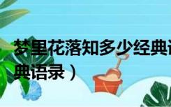 梦里花落知多少经典语段（梦里花落知多少经典语录）