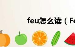 feu怎么读（Feu是什么意思）