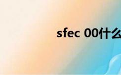 sfec 00什么意思（SFE）