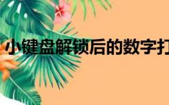 小键盘解锁后的数字打不出来（小键盘解锁）