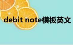 debit note模板英文（Debit note的格式）