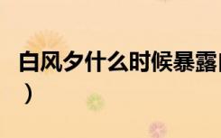 白风夕什么时候暴露自己是惜云公主（白风夕）