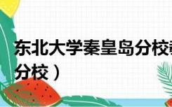 东北大学秦皇岛分校教务处（东北大学秦皇岛分校）