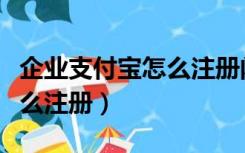 企业支付宝怎么注册闲鱼店铺（企业支付宝怎么注册）