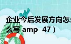 企业今后发展方向怎么写（企业的发展方向怎么写 amp  47）