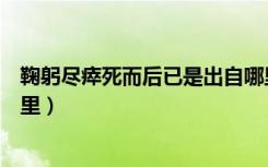 鞠躬尽瘁死而后已是出自哪里的（鞠躬尽瘁死而后已出自哪里）